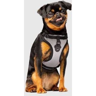 Canada pooch Everything No Pull Dog Harness - Easy Walk Harness for Dogs With Breathable Mesh Exterior Justerable Dog Walking Harness Fantastisk
