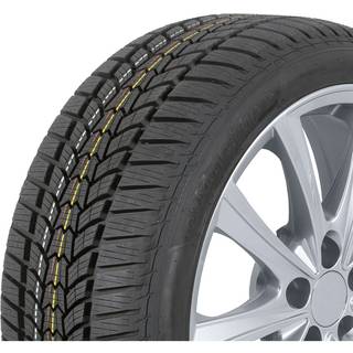 Sava Eskimo HP2 ( 205/55 R17 95V XL )