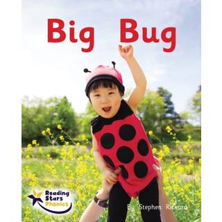 Big Bug