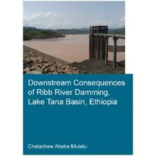 Downstream Consequences of Ribb River Damming, Lake Tana Basin, Ethiopia