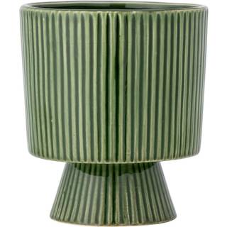 Ayleen Urtepotteskjuler, Green
