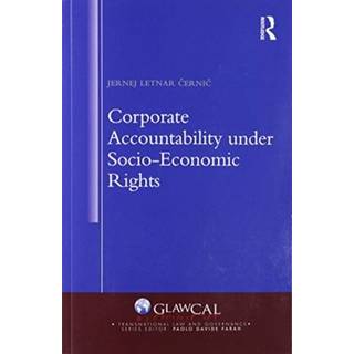 Corporate Accountability under Socio-Economic Rights