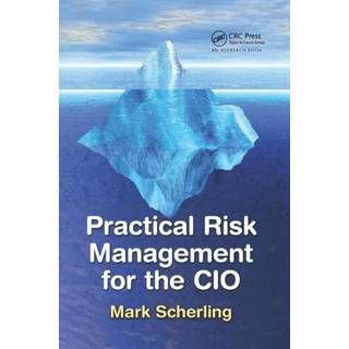 Practical Risk Management for the CIO