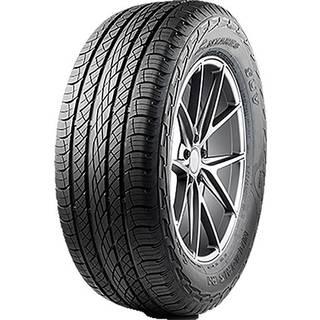 Antares Majoris R1  225/55R19 99V