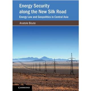 Energy Security along the New Silk Road