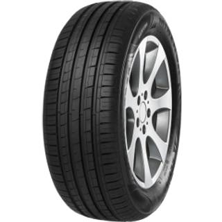 Minerva F 209  205/50R16 87W