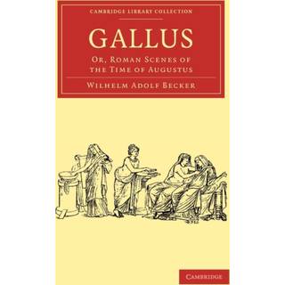 Gallus