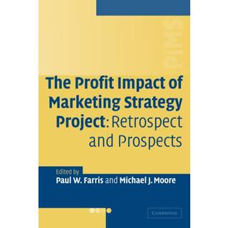 The Profit Impact of Marketing Strategy Project