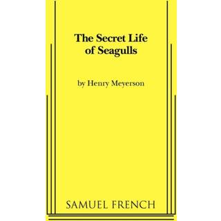 The Secret Life of Seagulls