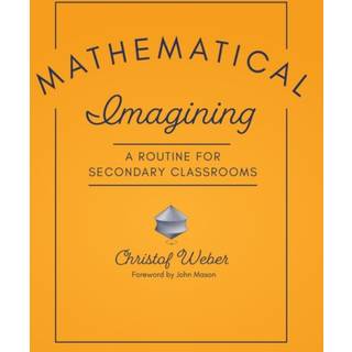 Mathematical Imagining