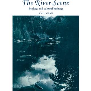 The River Scene