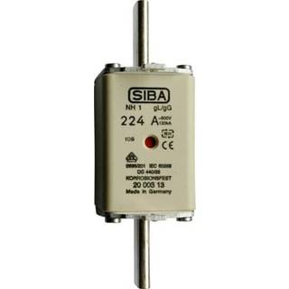 Siba Sikring nh2 250A gg 690v