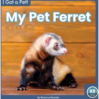 My Pet Ferret