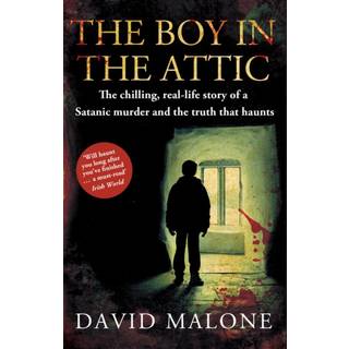 The Boy in the Attic