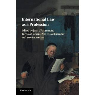 International Law as a Profession