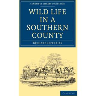 Wild Life in a Southern County