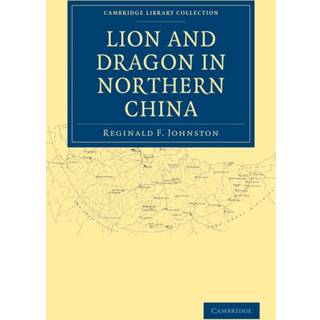Lion and Dragon in Northern China