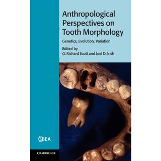 Anthropological Perspectives on Tooth Morphology
