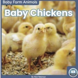 Baby Chickens