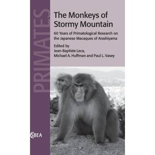 The Monkeys of Stormy Mountain