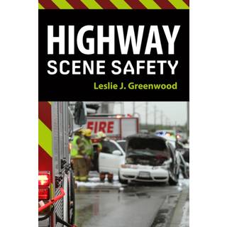 Highway Scene Safety
