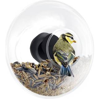 Eva Solo Window Bird Feeder