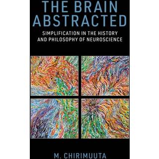 The Brain Abstracted