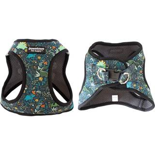Downtown Pet Supply Trin i hundesele til sm? hunde Ingen tr?k Medium dinosaur - Justerbar sele med polstret mesh stof og reflekterende trim - sp?