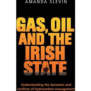 Gas, Oil and the Irish State