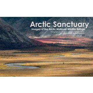 Arctic Sanctuary