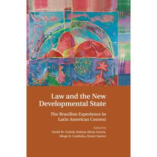 Law and the New Developmental State