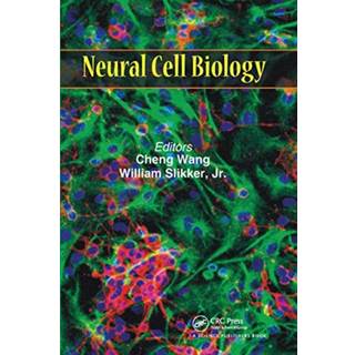 Neural Cell Biology