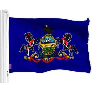 G128 Pennsylvania PA State Flag | 3x5 ft | Liteweave Pro Series Trykt 150D Polyester | Indendørs/udendørs livlige farver messing grommets tykkere