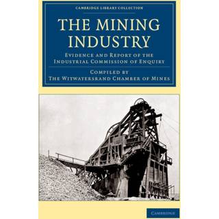 The Mining Industry