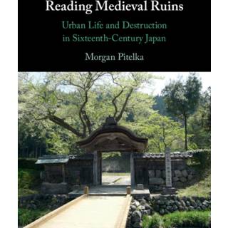 Reading Medieval Ruins