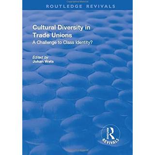 Cultural Diversity in Trade Unions: A Challenge to Class Identity?