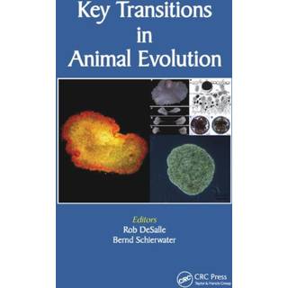 Key Transitions in Animal Evolution