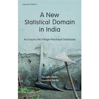 A New Statistical Domain in India – An Enquiry Into Village Panchayat Databases