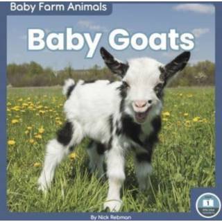 Baby Goats
