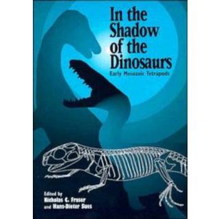 In the Shadow of the Dinosaurs