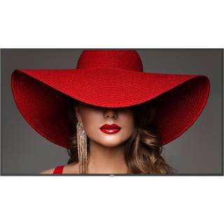 Philips D-line 86bdl4650d 24/7 86" Va 500cd/m² 3840 × 2160pixels