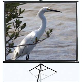 Elite Screens Tripod projektor lærred | 120 tommer
