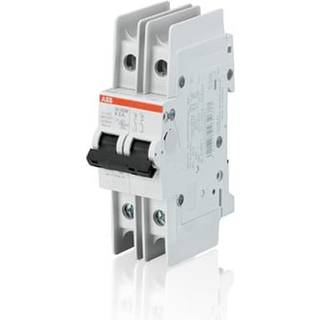 ABB Automatsikring c 1a 2p