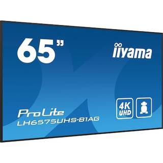 IIYAMA 65" 3840x2160, UHD IPS panel,