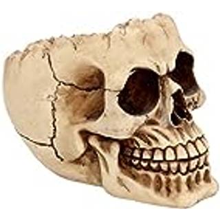 Totenschädel Schale mit offener Schädeldecke