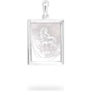 IX Valor Pendant Silver