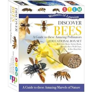 Discover Bees
