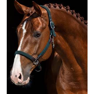 Grime Capitol Fairfield® Grøn