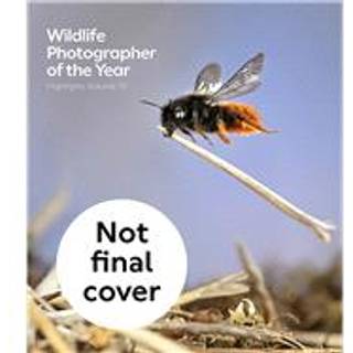 Wildlife Photographer of the Year: Highlights Volume 10