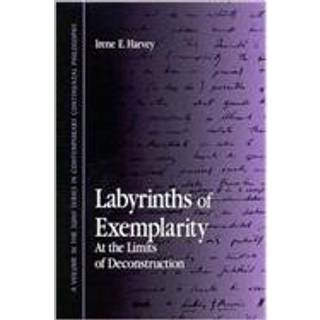 Labyrinths of Exemplarity
